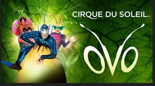 CIRCO DEL SOL  ESPECTÁCULO "OVO" EN  MADRID (DOMINGO)