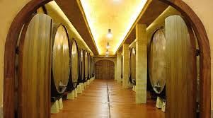 SIDRERIA EN ASTIGARRAGA, ACANTILADOS DE FLYSCH Y SAN JUAN DE LUZ. ABRIL 2026